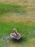 Lucky Magical Stone Lucky Magical Stone
