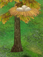 Owlie Lair Owlie Lair