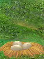 Forsaken Fearsome Tortoise Lair Forsaken Fearsome Tortoise Lair